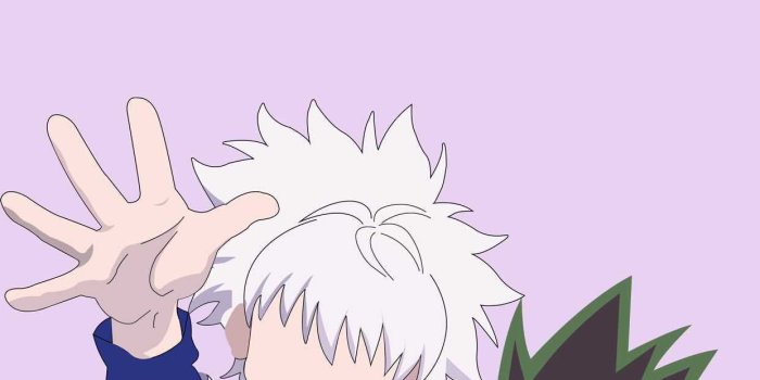 1242x1756 HD Hxh Wallpaper - iXpap