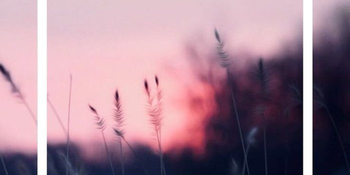 736x1303 Aesthetic Phone Backgrounds Anime - 736x1303 Wallpaper - teahub.io