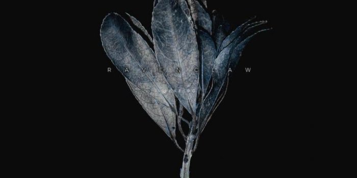 728x1294 Wallpaper HD: Dark, Aesthetic, Phone, Wallpapers, Wallpaper |  fashionsista.co