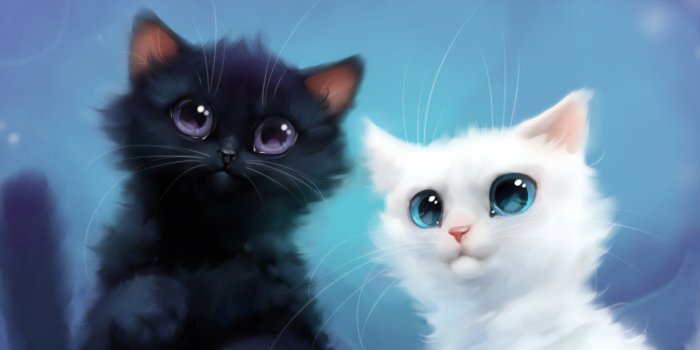 2560x1700 2560x1700 Two Kittens Chromebook Pixel HD 4k Wallpapers, Images, Backgrounds,  Photos and Pictures