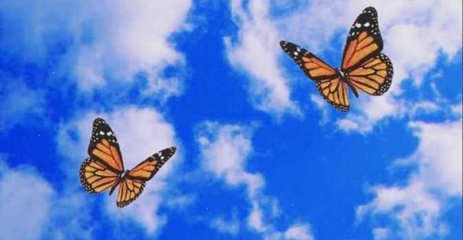 675x1200 Baddie Wallpapers - KoLPaPer - Awesome Free HD Wallpapers