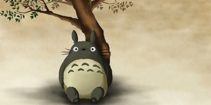 1920x1080 Totoro Wallpapers - Top Free Totoro Backgrounds - WallpaperAccess