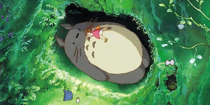 1536x2732 Totoro Phone Wallpapers