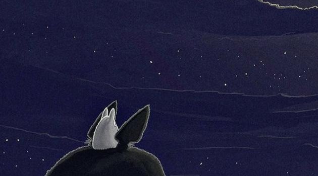 630x1280 Totoro wallpaper by SweetLanaz - 932d - Free on ZEDGE™