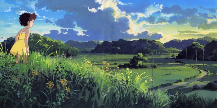 3147x1764 58+ Totoro Wallpaper HD