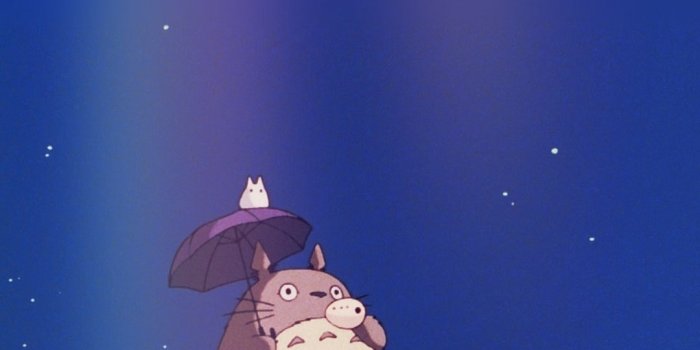 1080x1928 Totoro Android Wallpaper - KoLPaPer - Awesome Free HD Wallpapers