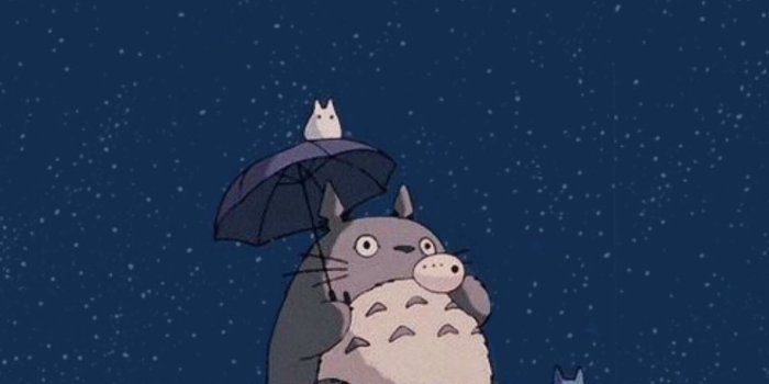 1146x2048 Totoro Wallpaper - Wallpaper Sun