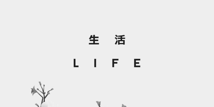 1080x1920 4K White Aesthetic Wallpaper - iXpap