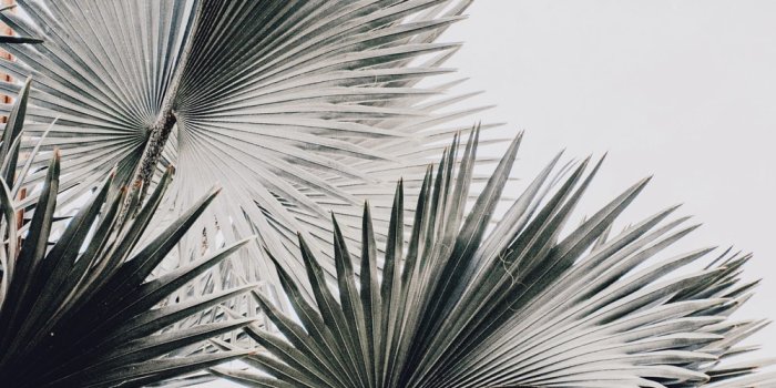 1000x1510 1500+ White Aesthetic Pictures | Download Free Images on Unsplash