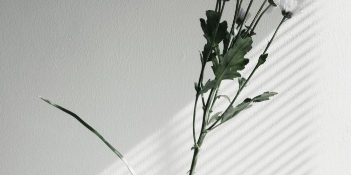 1000x1675 1500+ White Aesthetic Pictures | Download Free Images on Unsplash