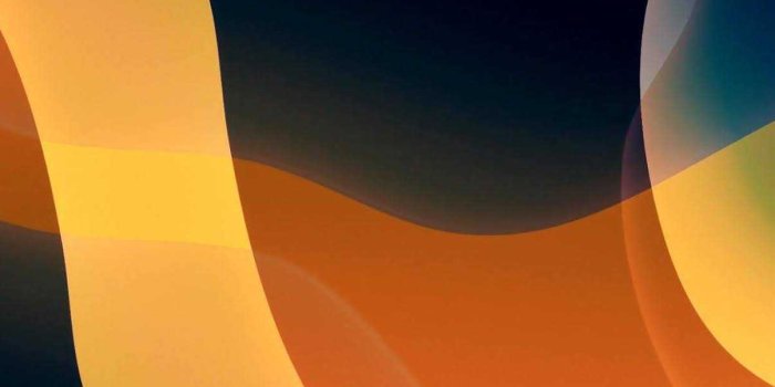 1205x2609 Iphone 13 Wallpaper | WhatsPaper