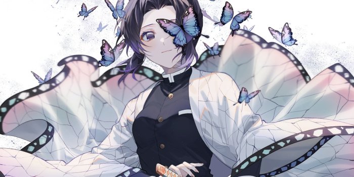 1332x850 Wallpaper girl, butterfly, sword, The Blade Cleaves Demons, Shinobu Kochou  images for desktop, section сёнэн - download