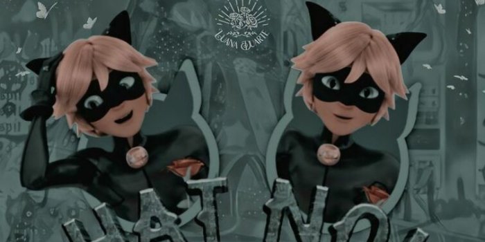 755x1342 Miraculous wallpaper I N S P O | Fandom