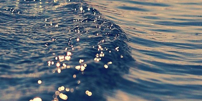 1242x2208 Free download Ecett wallpaper iphone8 TOP 99 Wallpaper for iPhone 8 Plus  Full HD [1242x2208] for your Desktop, Mobile & Tablet | Explore 25+ IPhone  8 Wallpapers | iPhone 8 Wallpaper, IPhone 8 Wallpapers, 8 3D Wallpaper  iPhone