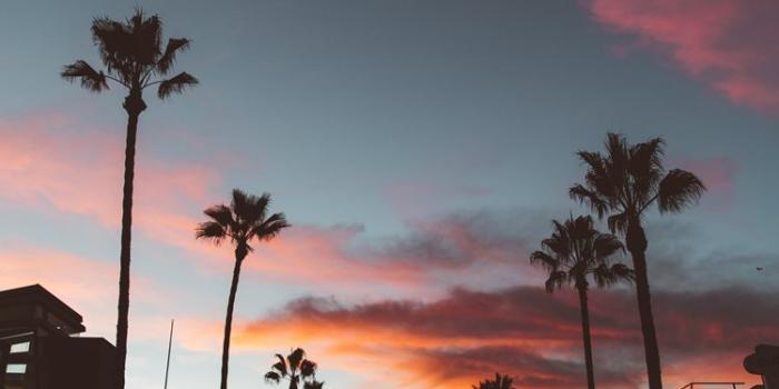 750x1334 Best Urban iPhone 8 HD Wallpapers - iLikeWallpaper