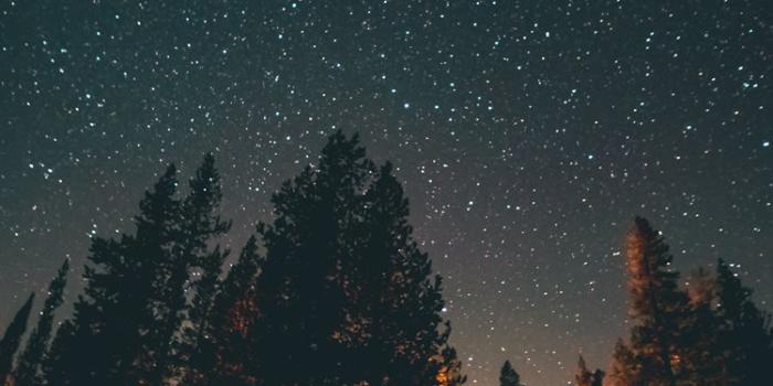 750x1334 Best United states iPhone 8 HD Wallpapers - iLikeWallpaper