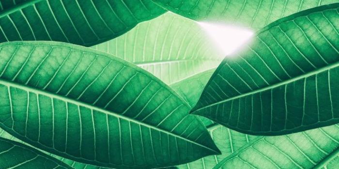 736x1308 27 Super Pretty iPhone 8 Plus Wallpapers | Preppy Wallpapers | Lock screen wallpaper  iphone, Crystal iphone wallpaper, Pretty backgrounds for iphone