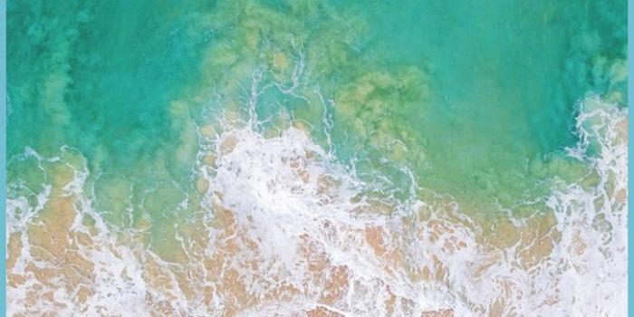 727x1293 Full HD Of IPhone 8s Wallpapers - Iphone 6s Wallpaper |  Neat