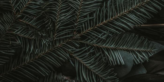 1000x1499 iPhone wallpaper | 85 best free iphone wallpaper, wallpaper, background and  outdoor photos on Unsplash