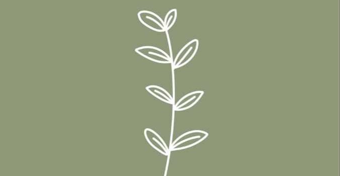 676x1200 Sage Green Wallpaper - WPTunnel