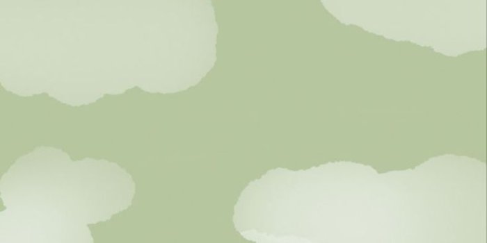 736x1122 Sage Green Wallpaper for mobile phone, tablet, desktop computer and other  devices HD and 4K wallpap… in 2021 | Sage green wallpaper, Iphone wallpaper  green, Green wallpaper