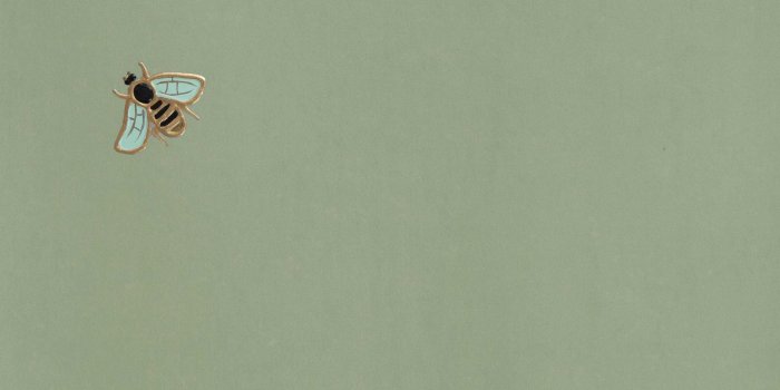 2838x4252 Sage Green Aesthetic Wallpaper - NawPic