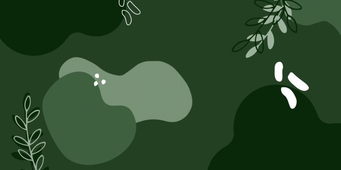 1200x675 Sage Green Laptop Wallpapers