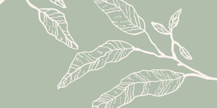 715x1565 Sage Green Wallpaper - Wallpaper Sun