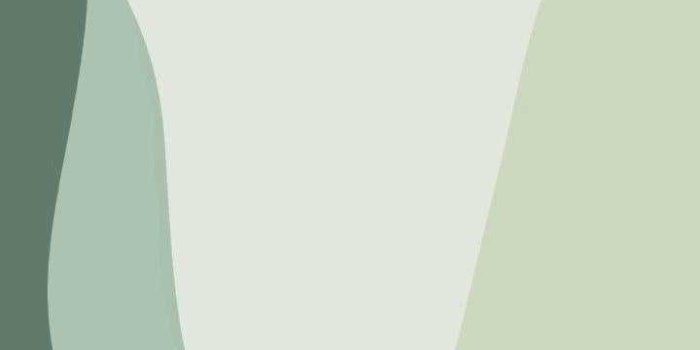 720x1280 Sage Green Wallpaper - WPTunnel