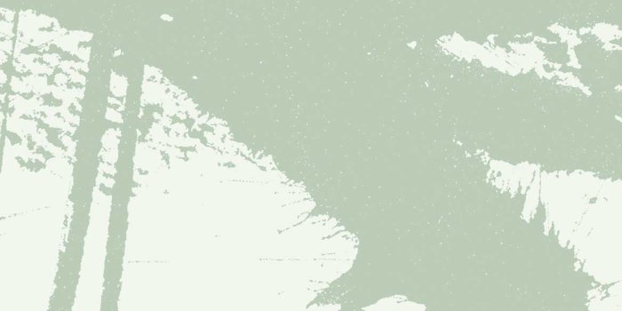 1168x2313 Green Abstract Wall Mural | Feathr Wallpapers