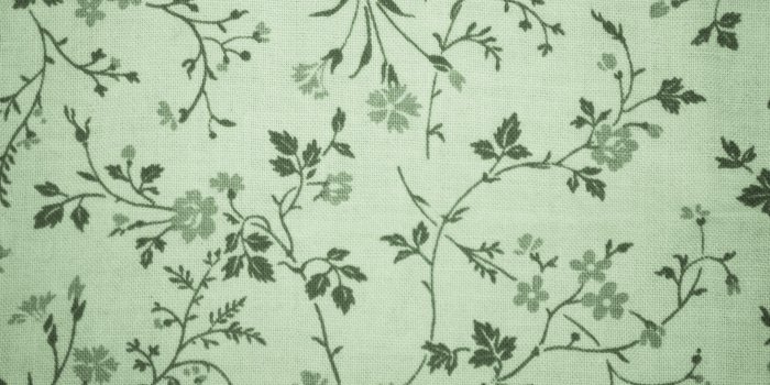 1920x1080 Free download Sage Green Floral Print Fabric Texture High Resolution Photo  [3000x2000] for your Desktop, Mobile & Tablet | Explore 47+ Sage Green  Wallpaper | Light Green Textured Wallpaper, Green Textured Wallpaper,