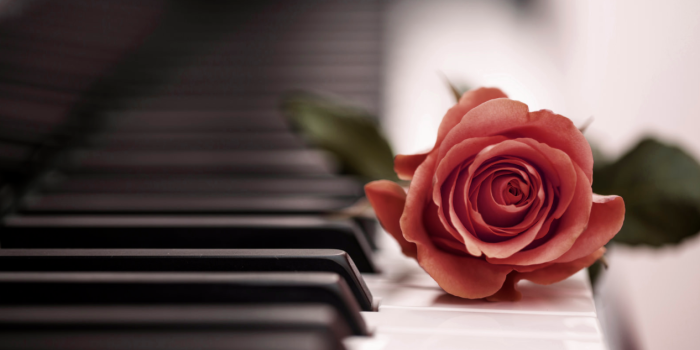 1266x834 The 5 Best Piano Pieces To Study To | Computer wallpaper desktop wallpapers,  Piano, Desktop wallpaper