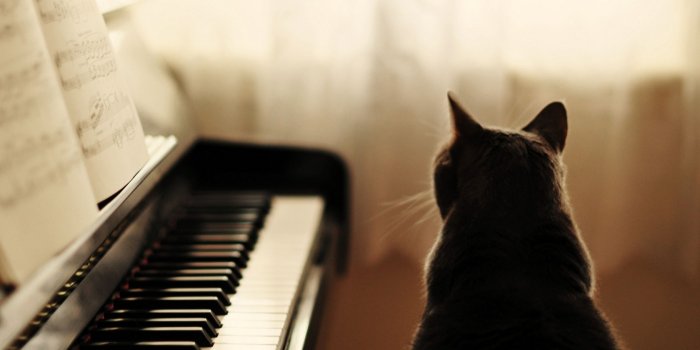 1680x1050 Piano Wallpaper 45844 1680x1050px