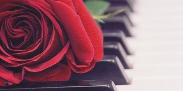 1284x2778 Piano Aesthetic Cave iPhone Wallpapers Free Download