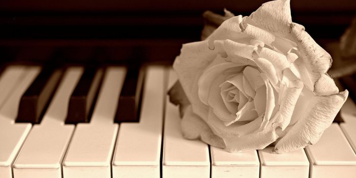 1920x1200 Piano Wallpapers-874albq - 1920x1200 Wallpaper - teahub.io