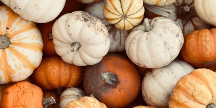 750x1334 October Pumpkins Wallpapers - 4k, HD October Pumpkins Backgrounds on  WallpaperBat
