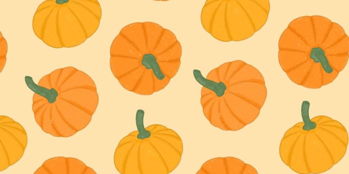 1080x1920 FREE! Pumpkin Autumn Phone Wallpapers - Miloe Joanne