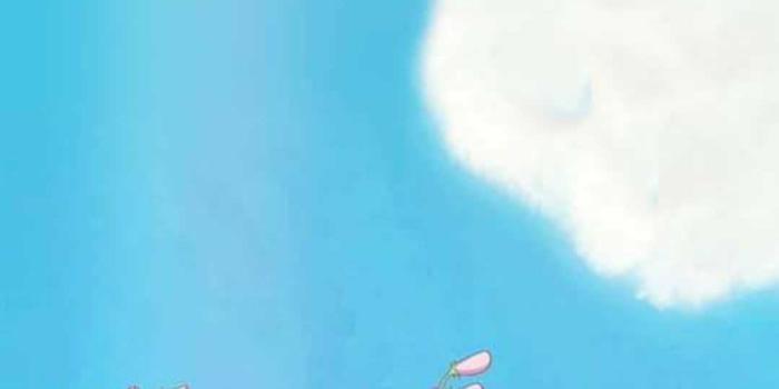 1079x1927 Spirited Away Wallpaper | WhatsPaper