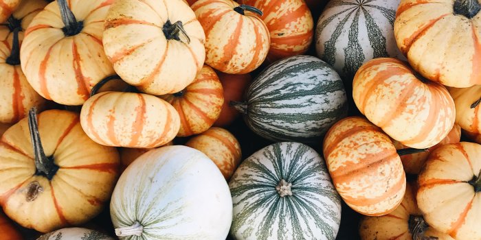3024x4032 Aesthetic Pumpkin Wallpapers - Top Free Aesthetic Pumpkin Backgrounds -  WallpaperAccess