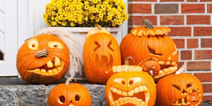 1920x1200 Free HD Pumpkin Wallpapers - PixelsTalk.Net
