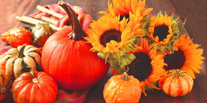 1920x1200 Pumpkin Wallpaper Desktop | WhatsPaper
