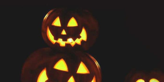 736x1308 Pumpkin Wallpaper - KoLPaPer - Awesome Free HD Wallpapers