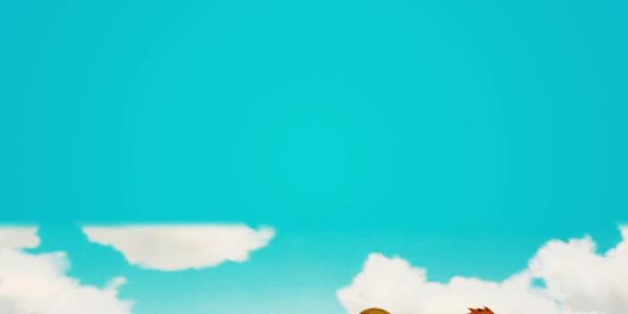 911x1616 Spirited Away Phone Wallpapers - Spirited Away Photo (43135903) - Fanpop