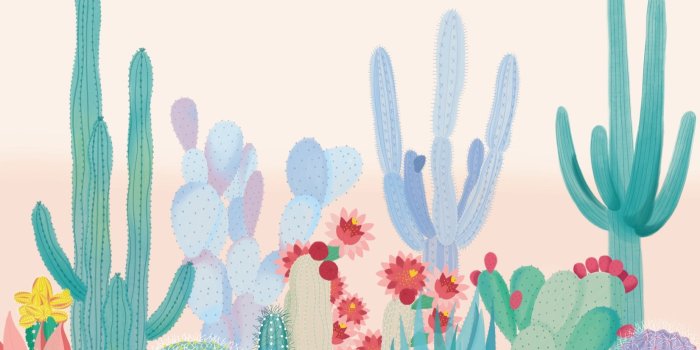 1650x1070 Cute Colorful Cactus Wallpaper Mural | Hovia
