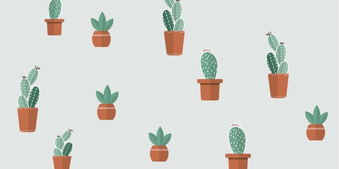 3473x3473 Cacti Wallpapers - Top Free Cacti Backgrounds - WallpaperAccess