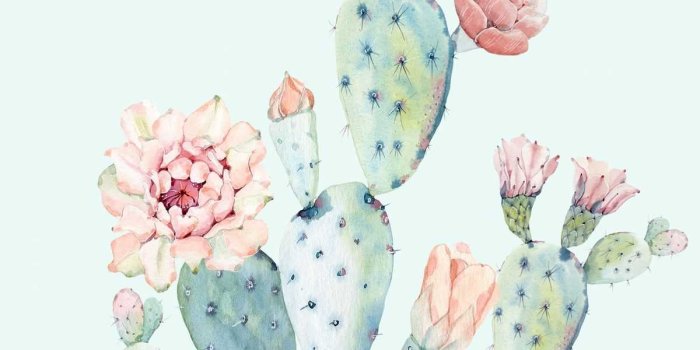 1200x1800 Cactus Wallpaper - iXpap