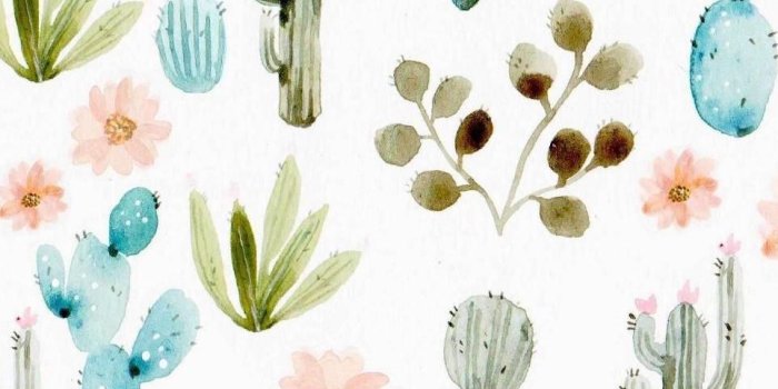 963x1320 Cactus Print Wallpapers - Top Free Cactus Print Backgrounds -  WallpaperAccess