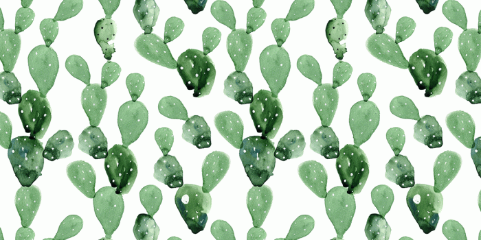 1080x1080 Watercolor Cactus Wallpaper Mural | Cactus Wallpaper Nursery – Project  Nursery