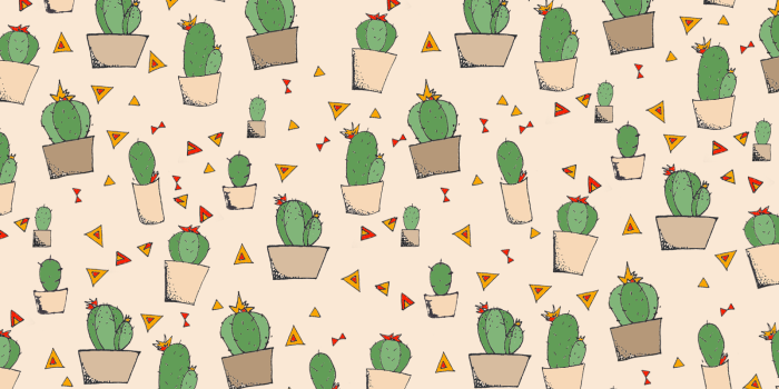 1600x900 Cactus Wallpaper - Danielle Verderame