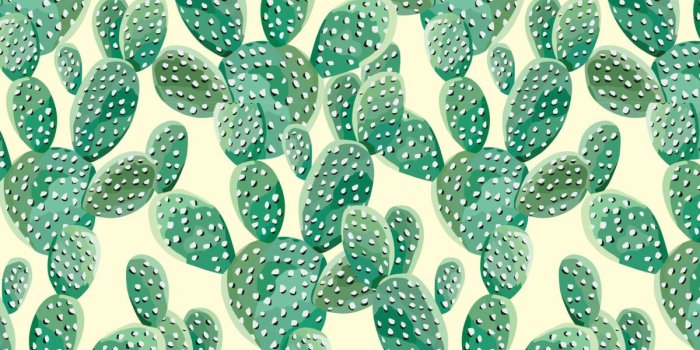 1200x742 Watercolor Cactus Plants Wallpaper for Walls | Cacti Attack